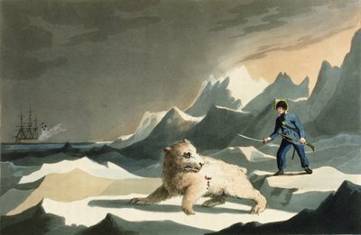 Intrepidez juvenil: Ataque y persecución del joven Nelson a un oso polar con el Capitán Lutwidge en su viaje de descubrimiento hacia el Polo Norte de la Historia Gráfica de la Vida de Nelson de Edward Orme de English School